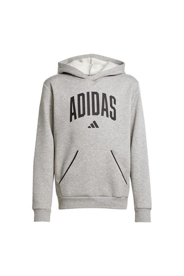 adidas Çocuk  Gri  Sweatshirt J CLGT OH FL HD JV7336 - Image 1