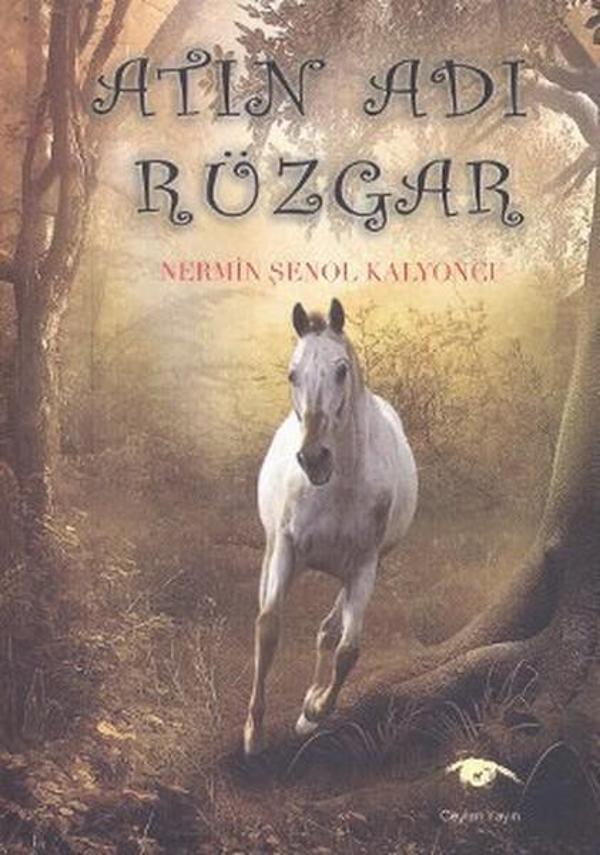 Atın Adı Rüzgar - Ceylan Yayıncılık - Image 1
