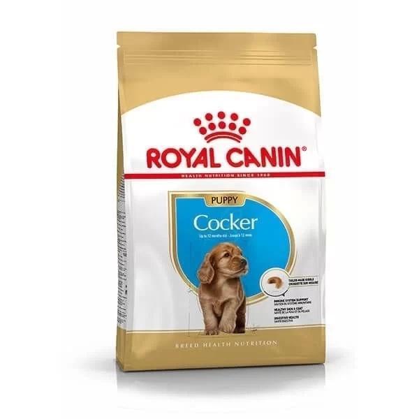 Royal Canin Cocker Junior Yavru Köpek Maması 3 Kg - Image 1