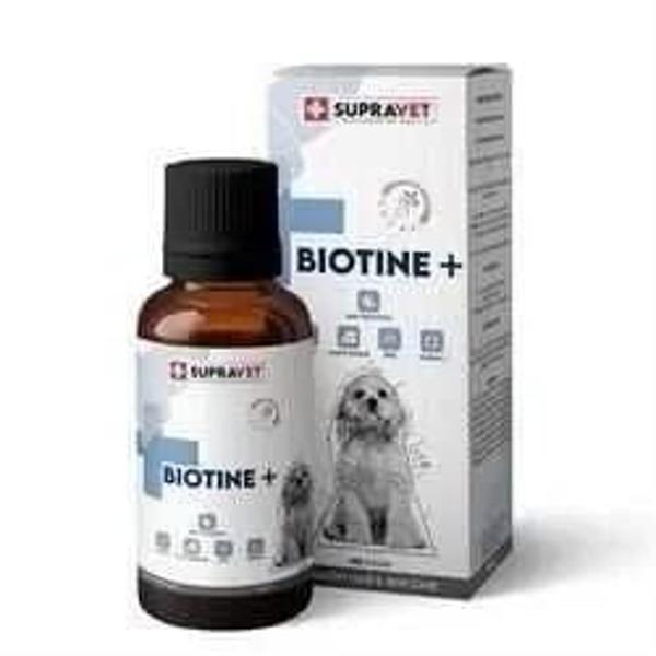 Supravet Biotine Extra Köpek Deri ve Tüy Sağlığı Damlası 100 Ml - Image 1
