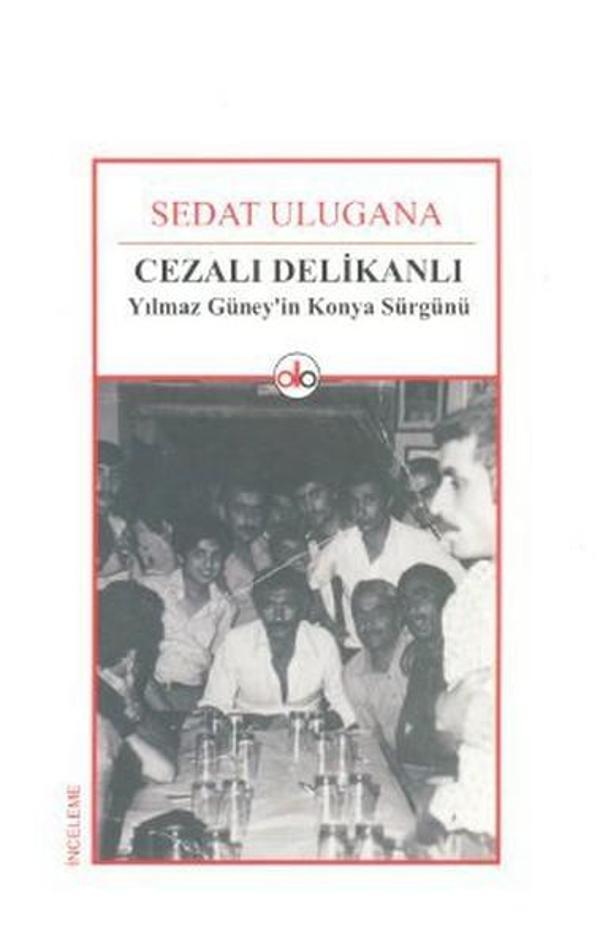 Cezalı Delikanlı - Do Yayınları - Image 1