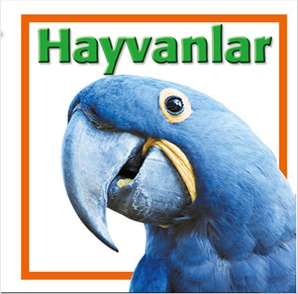 Koleksiyon Yayınevi Hayvanlar - Koleksiyon Yayınevi - Image 1