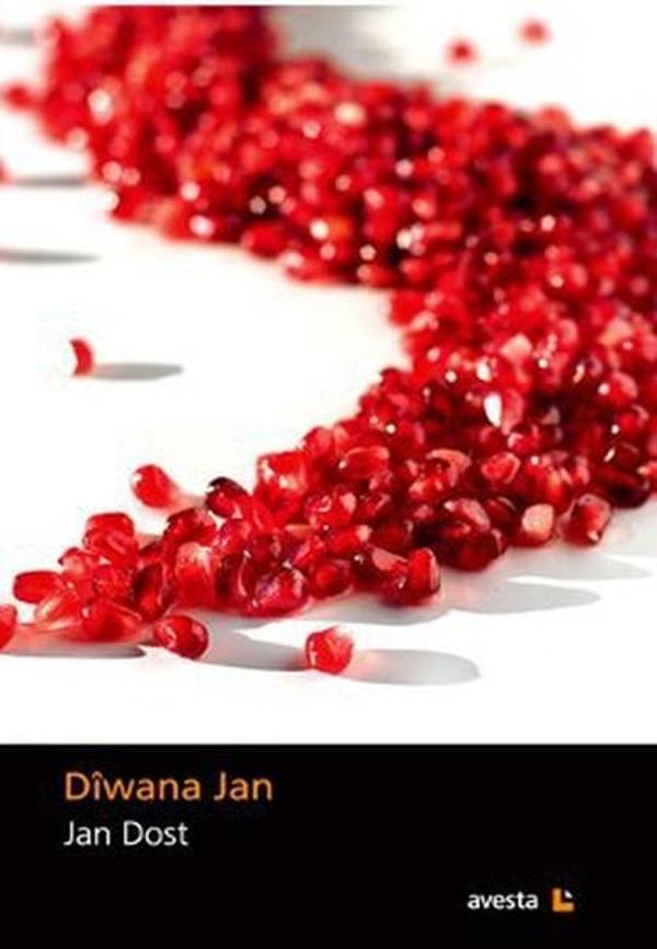 Avesta Yayınları Diwana Jan - Avesta Yayınları - Image 1