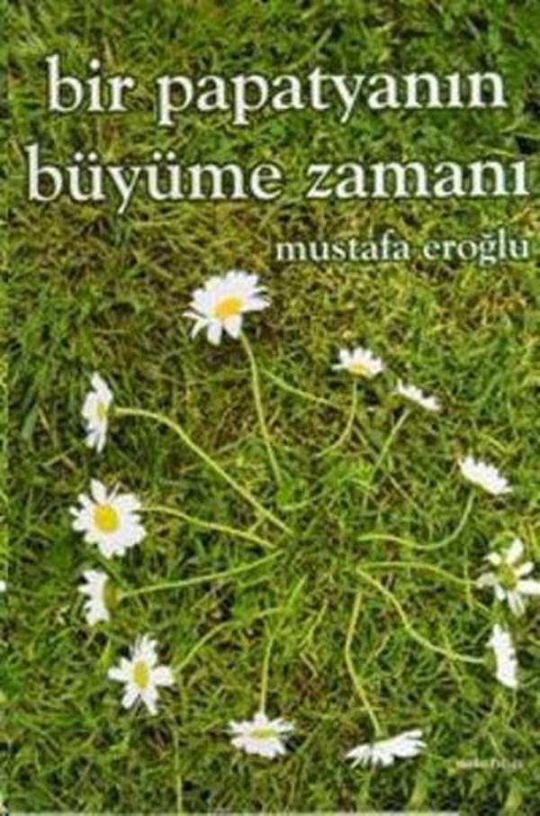 Bir Papatyanın Büyüme Zamanı - Artshop Yayıncılık - Image 1