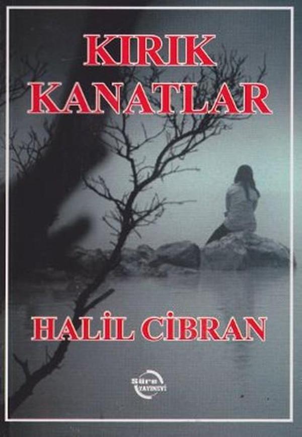 Kırık Kanatlar - Süre Yayınevi - Image 1