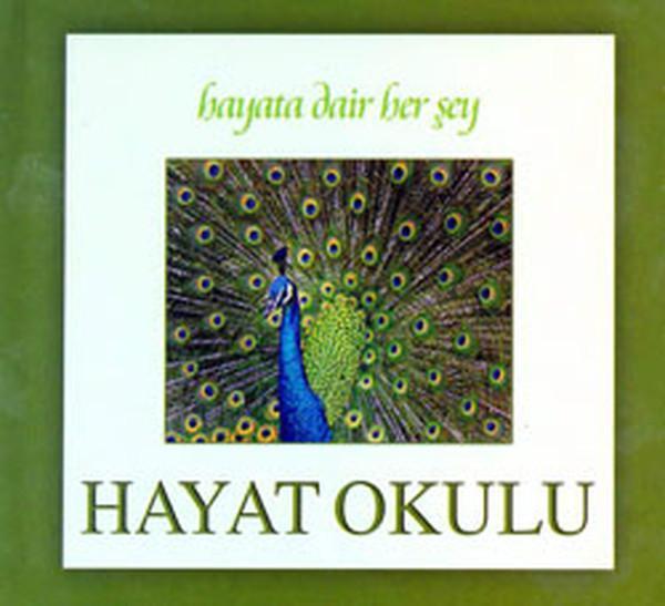 Hayata Dair Herşey - Hayat Okulu - Safran Yayınları - Image 1