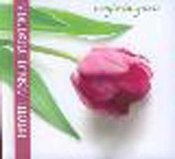 Sevginin Gücü - Hayatı Aşkla Yaşamak - Safran Yayınları - Image 1