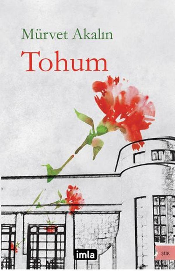 İmla Tohum - İmla - Image 1