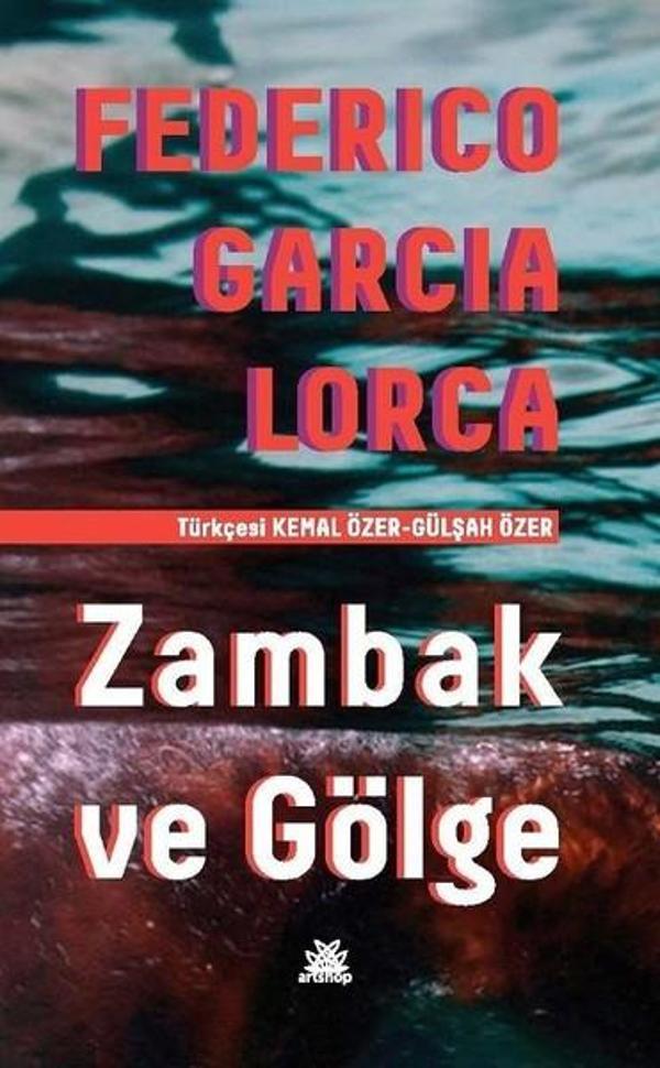 Zambak ve Gölge - Artshop Yayıncılık - Image 1