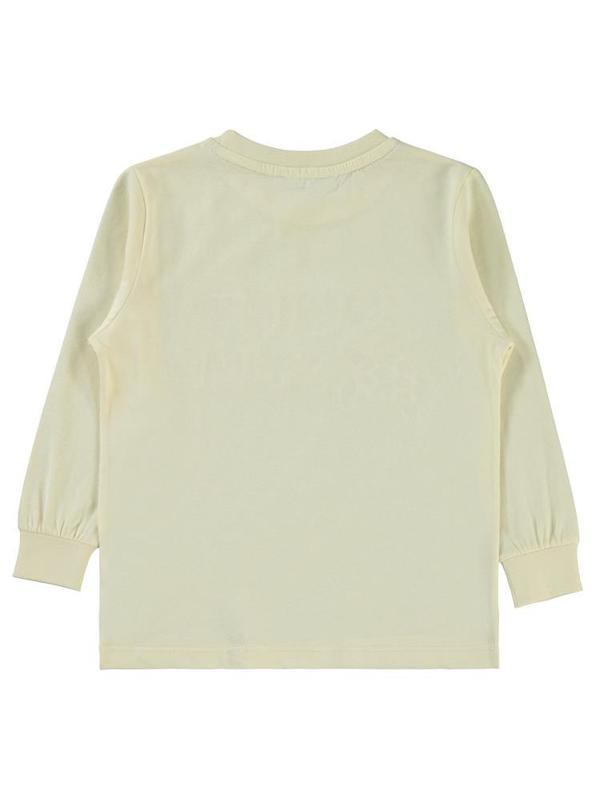 Civil Boys Kaplumbağa Baskılı 2-5 Yaş Sweatshirt - Fil Dişi5-6 Yaş - Image 1