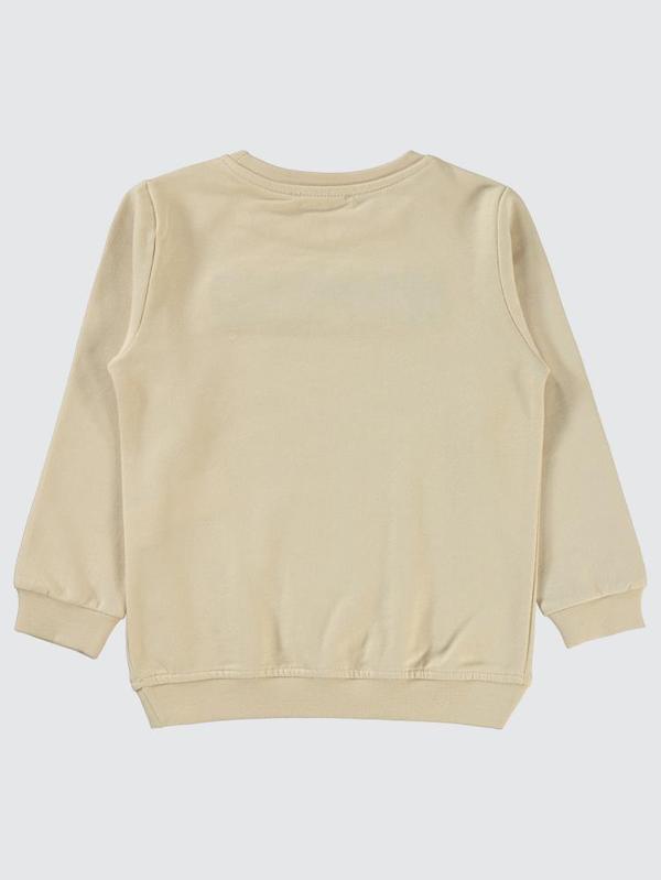 Civil Boys Raptor Dinazor Baskılı 2-5 Yaş Sweatshirt - Gri4-5 Yaş - Image 1