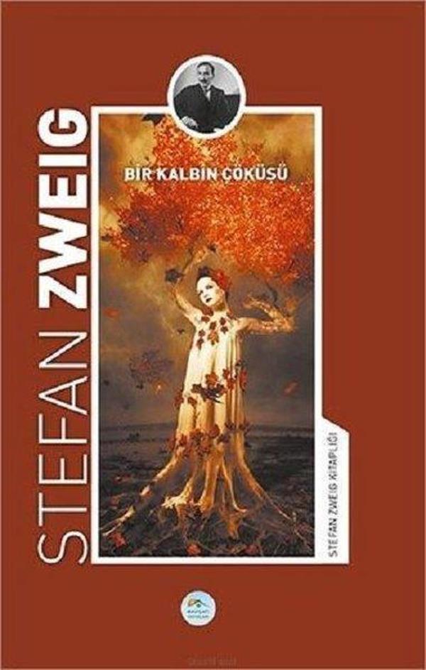 Bir Kalbin Çöküşü-Stefan Zweig Kitaplığı - Mavi Çatı Yayınları - Image 1