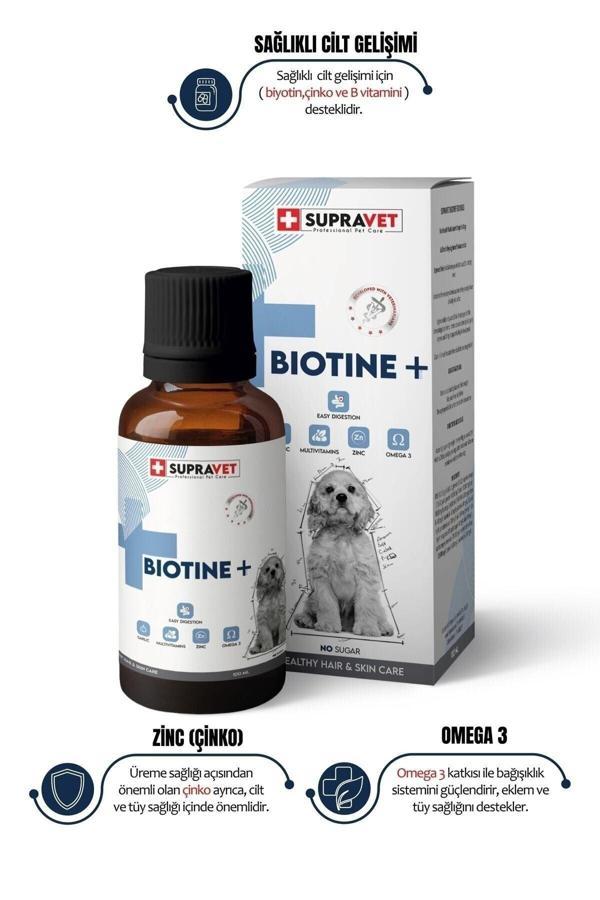 Plus +b For Dogs Biotine Damla 100 Ml + Zinc + Multi Vitamin ( Köpekler Için Tüy Sağlığı Damlası ) - Image 1