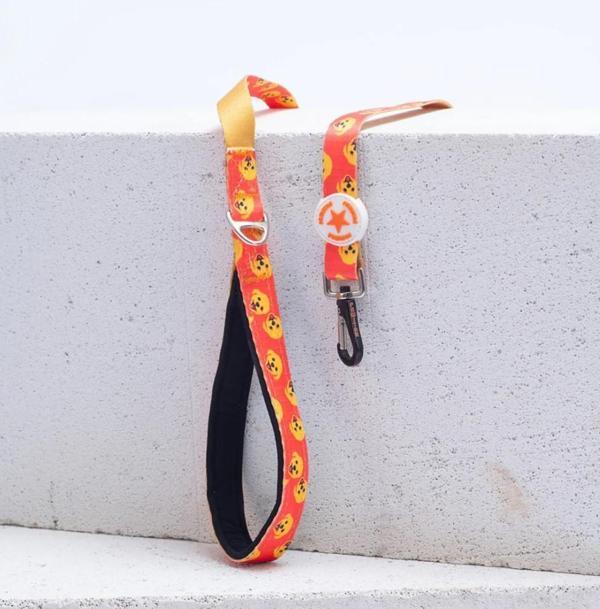 Pawstar Poodle Köpek Gezdirme Kayışı 120 cm x 2 cm - Image 1