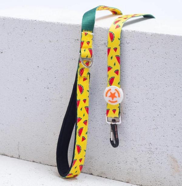 Pawstar WaterMelon Köpek Gezdirme Kayışı 120 cm x 2 cm - Image 1