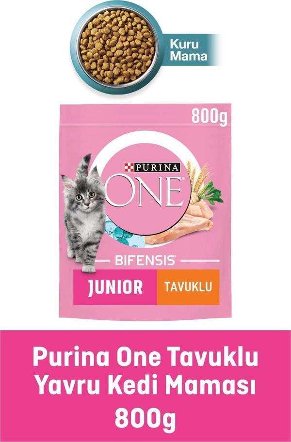 Purina One Tavuk Etli Yavru Kedi Maması 800gr - Image 1