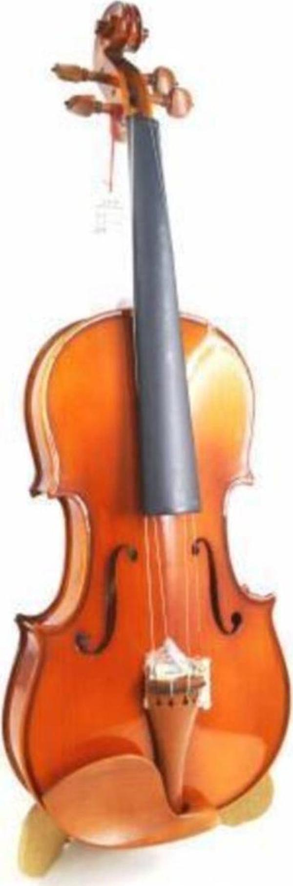 LONGYIN MV012B 4/4 GÜL AKSAM KEMAN - Image 1