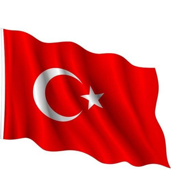 İnter Bayrak 300X450 Türk Bayrağı - Image 1