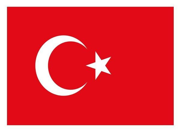 Vatan Bayrak 80X120 Türk Bayrağı - 2 adet - Image 1