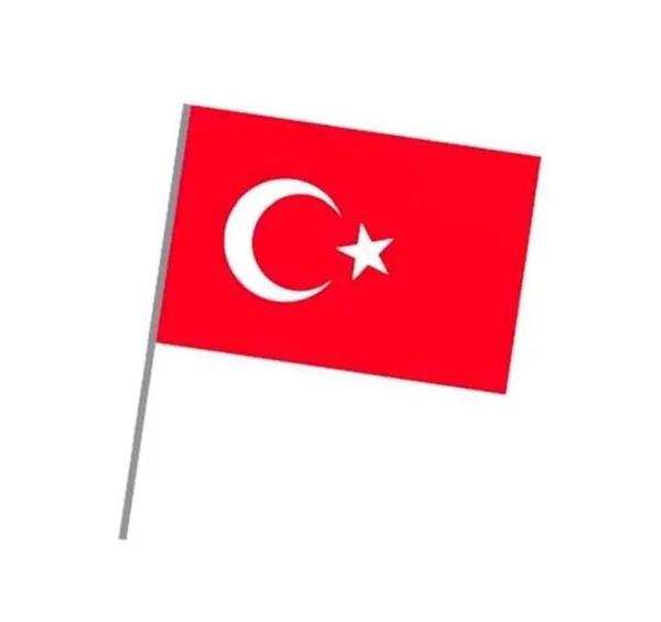 Sopalı Kağıt Bayrak Büyük 20 Adet - Image 1