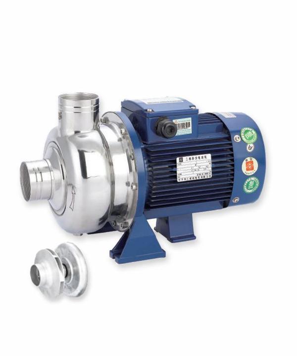 Water Sound BB250/075D 304 Kalite Paslanmaz Kapalı Fanlı Santrifüj Pompası 1hp - Image 1