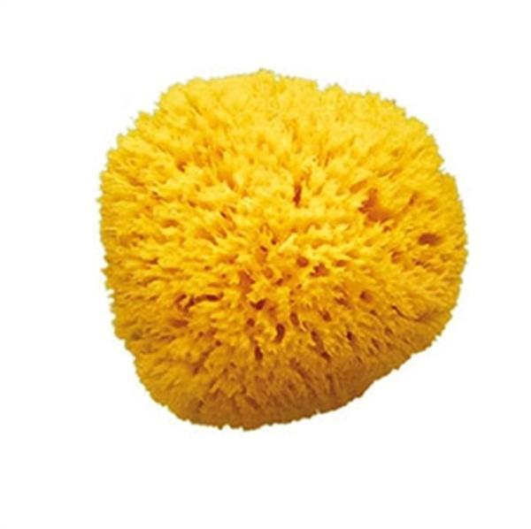 OkBaby Doğal Banyo Süngeri / Küçük - Image 1