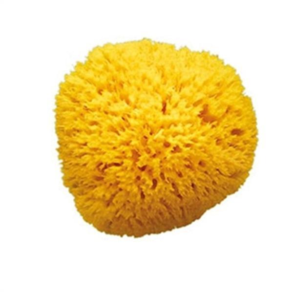 OkBaby Doğal Banyo Süngeri / Orta - Image 1
