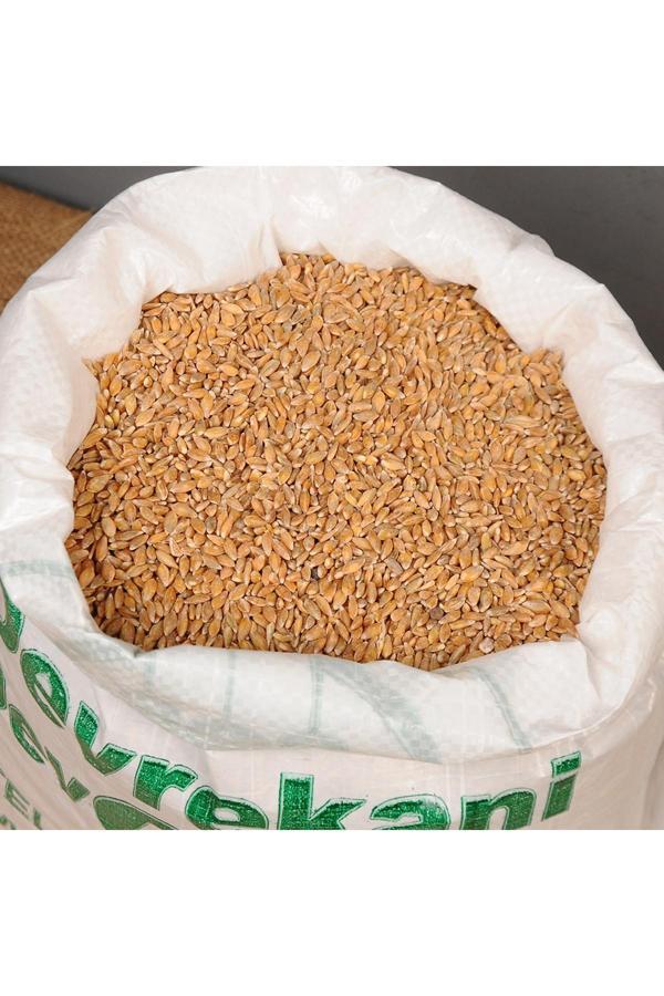 Deva Siyez Buğdayı (taneli) 10 Kg. - Image 1