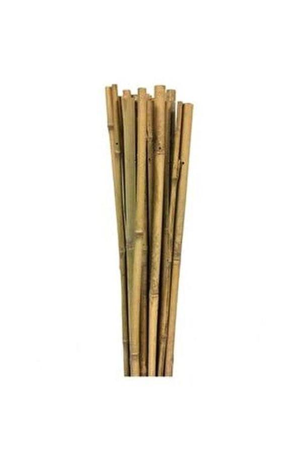 Gardener Bambu Bitki Destek Çubuğu  120cm - Image 1