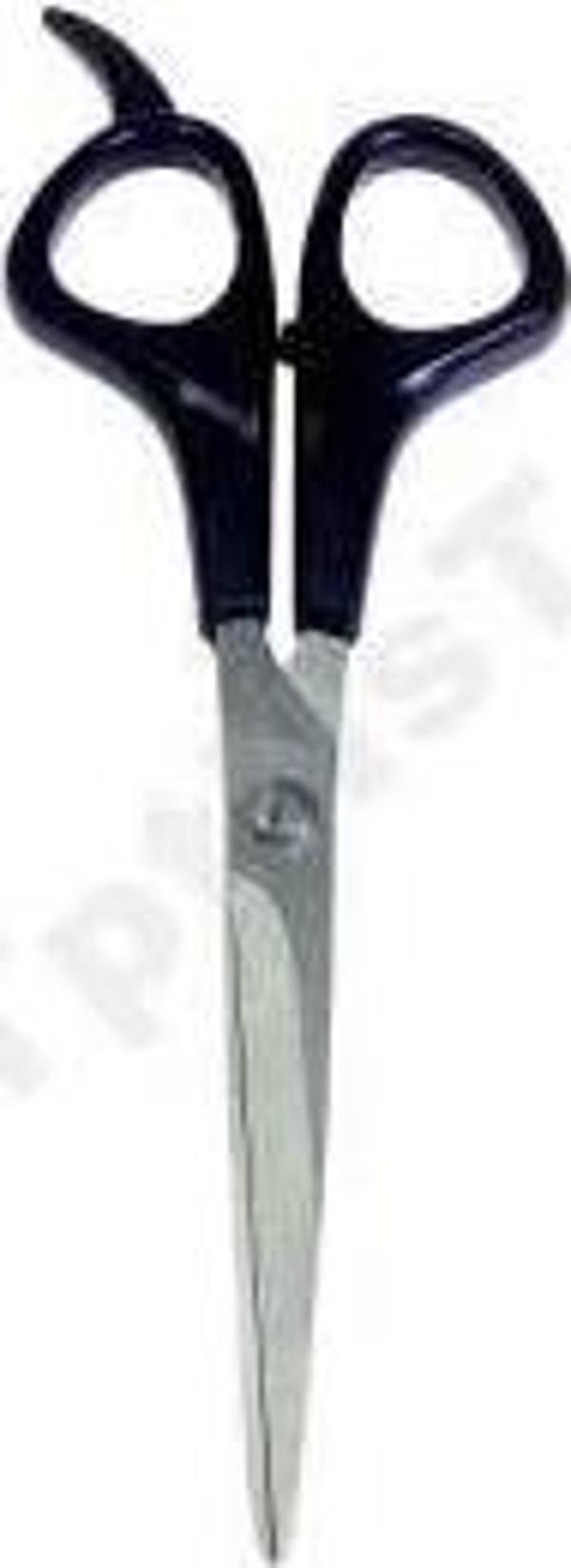 Bıyık Makası 17 Cm - Image 1