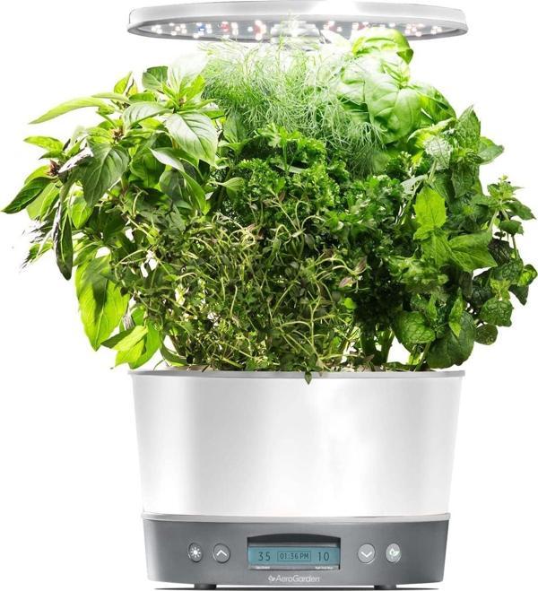 AeroGarden Harvest Elite 360 Kapalı Bahçe Topraksız Sistemi - Image 1