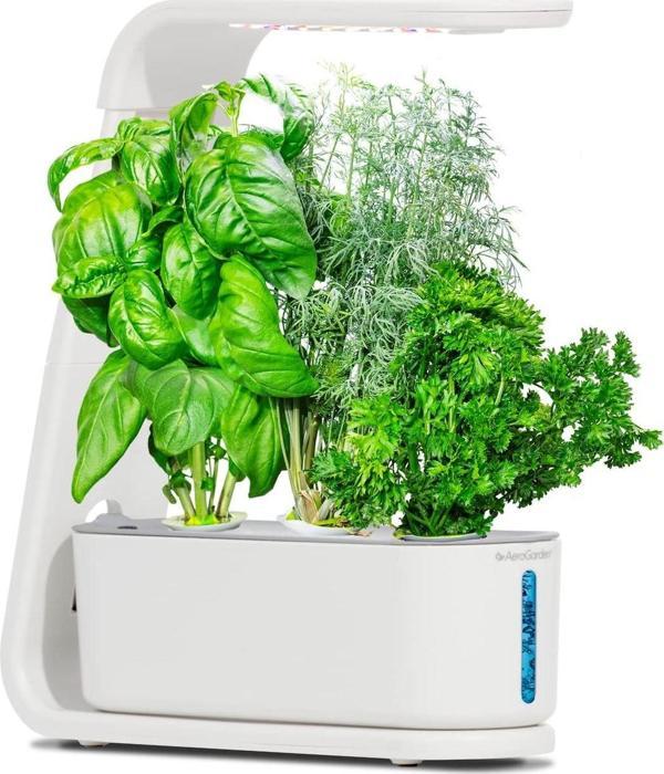 AeroGarden Topraksız Kapalı Bahçe, Filiz ve Gurme Otlar Tohum Kiti - Beyaz - Image 1
