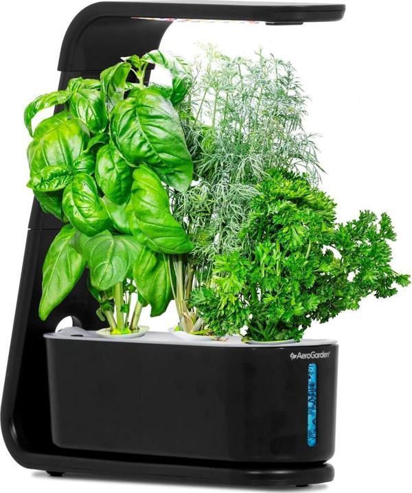 AeroGarden Topraksız Kapalı Bahçe, Filiz ve Gurme Otlar Tohum Kiti - Siyah - Image 1