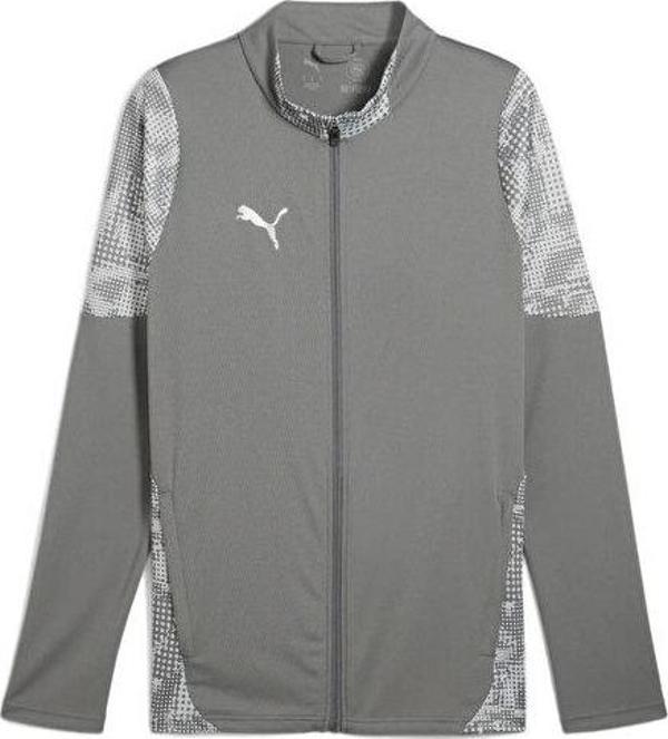 Puma Teamcup Training Jacket Erkek Futbol Antrenman Ceketi 65916513 Gri - Image 1