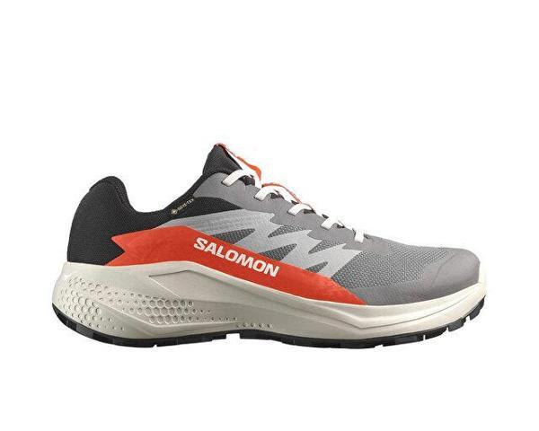 Salomon Alphaglide Gore-Tex Erkek Outdoor Koşu Ayakkabısı L47975300 Gri - Image 1