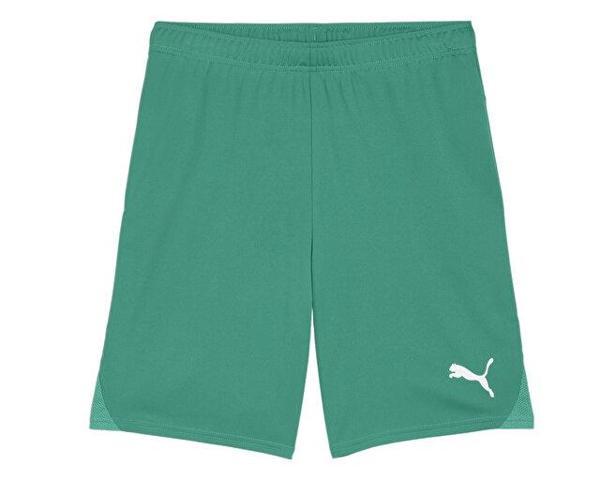 Puma Teamgoal Shorts Erkek Futbol Antrenman Şortu 70575205 Yeşil - Image 1