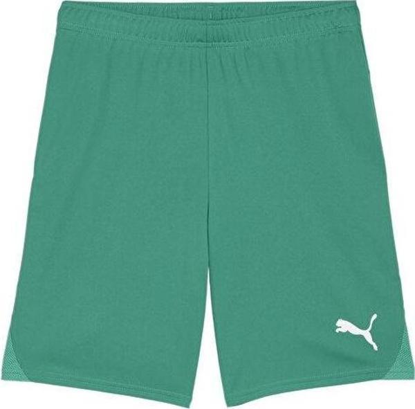 Puma Teamgoal Shorts Erkek Futbol Antrenman Şortu 70575205 Yeşil - Image 1