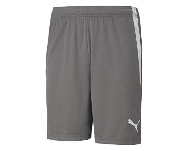 Puma Teamliga Shorts Erkek Futbol Şortu 70492413 Gri - Image 1