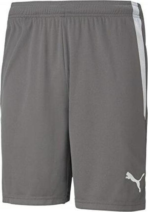 Puma Teamliga Shorts Erkek Futbol Şortu 70492413 Gri - Image 1