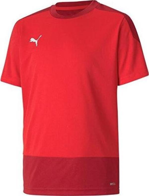 Puma Teamgoal 23 Training Jersey Erkek Futbol Forması 65648201 Kırmızı - Image 1