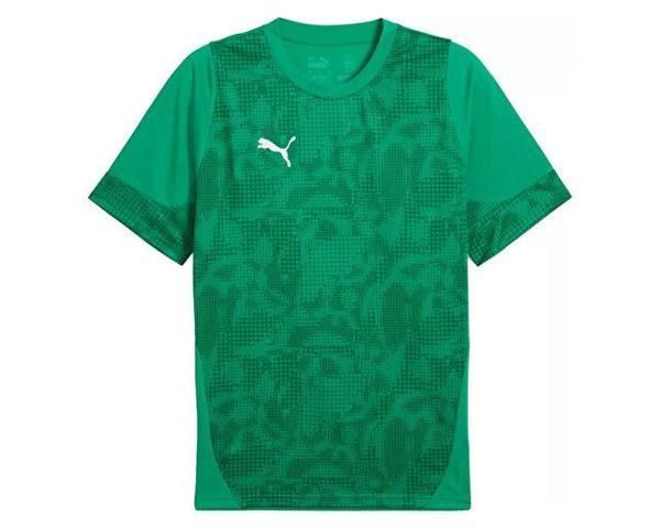 Puma Teamcup Training Jersey Erkek Futbol Tişörtü 65916705 Yeşil - Image 1
