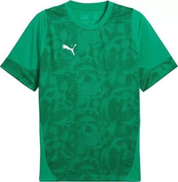 Puma Teamcup Training Jersey Erkek Futbol Tişörtü 65916705 Yeşil - Image 1