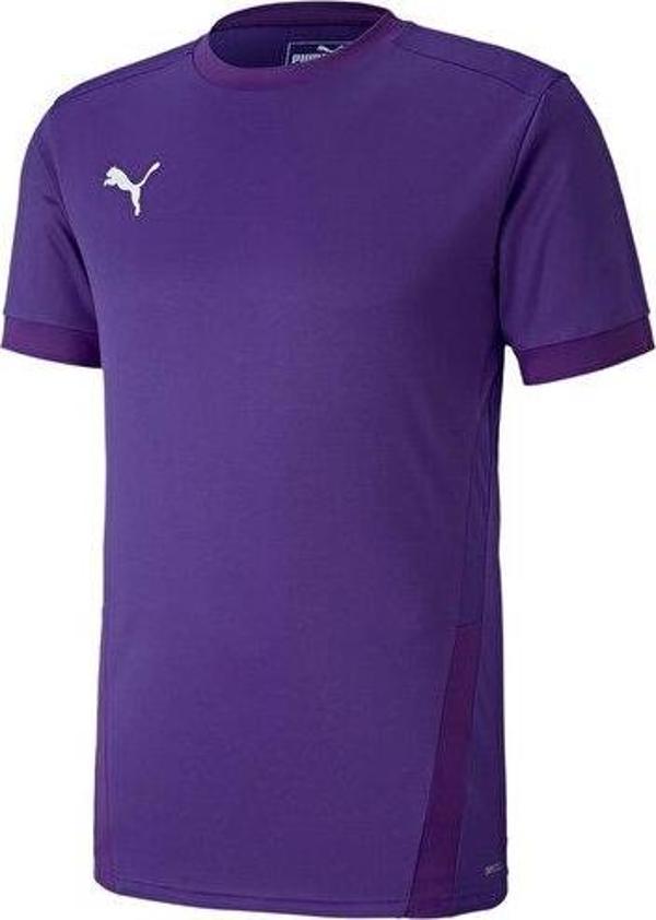 Puma Teamgoal 23 Jersey Erkek Futbol Forması 70417110 Mor - Image 1