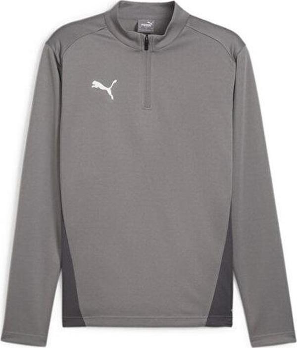 Puma Teamgoal Training 1/4 Zip To Erkek Futbol Uzun Kollu Antrenman Tişörtü 65862913 Gri - Image 1