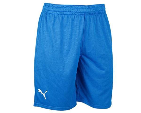 Puma Turkey Practice Short Erkek Türkiye Basketbol Şortu 60547201 Mavi - Image 1