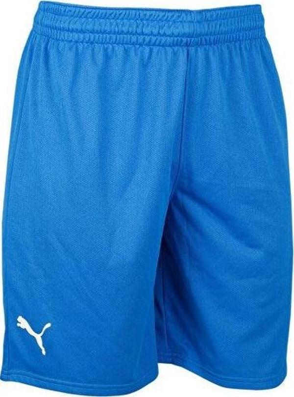 Puma Turkey Practice Short Erkek Türkiye Basketbol Şortu 60547201 Mavi - Image 1