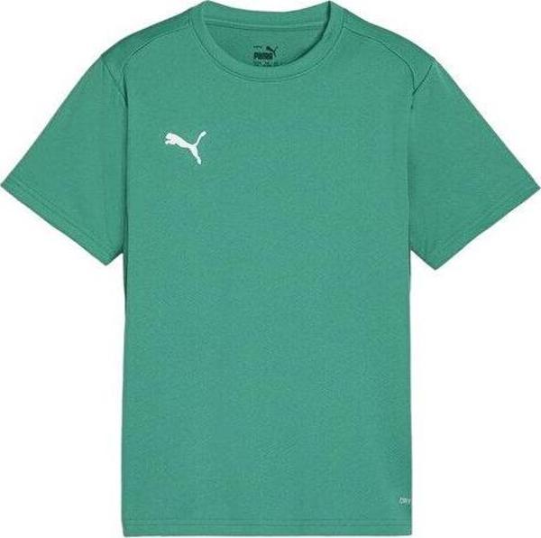 Puma Teamgoal Jersey Erkek Futbol Antrenman Tişörtü 65863605 Yeşil - Image 1