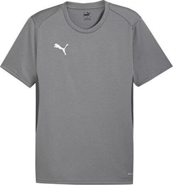 Puma Teamgoal  Jersey Erkek Futbol Antrenman Tişörtü 65863613 Beyaz - Image 1