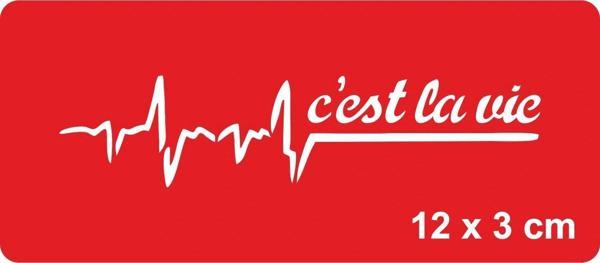 Hayat Budur!(Fransızca) Tattoo Geçici Dövme Şablonları Kına Kalıpları - Image 1