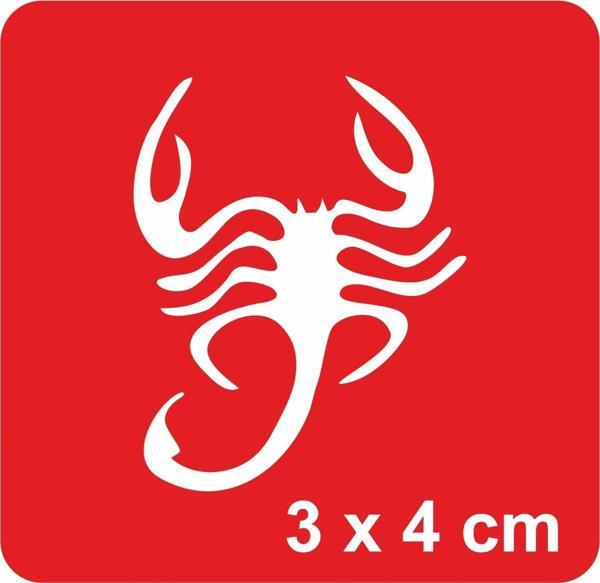 Çöl Akrep Tattoo Geçici Dövme Şablonları Kına Kalıpları - Image 1